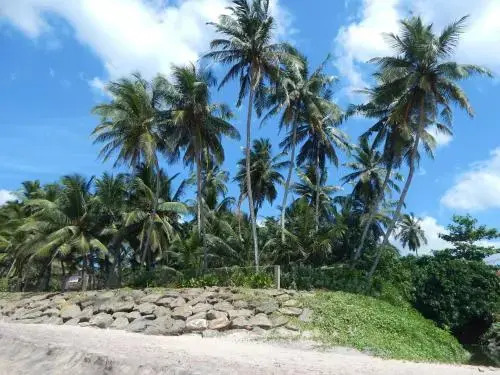 Villa Mango