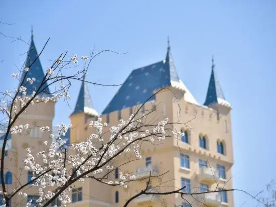 Zhengzhou Yinji Ice and Snow Hotel