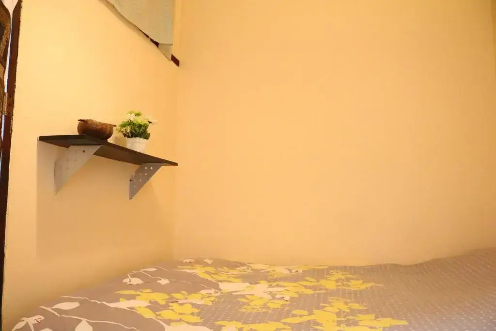 Eco House
