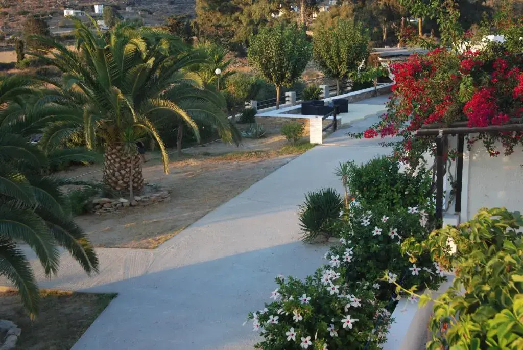 Paradise Apartments Studios