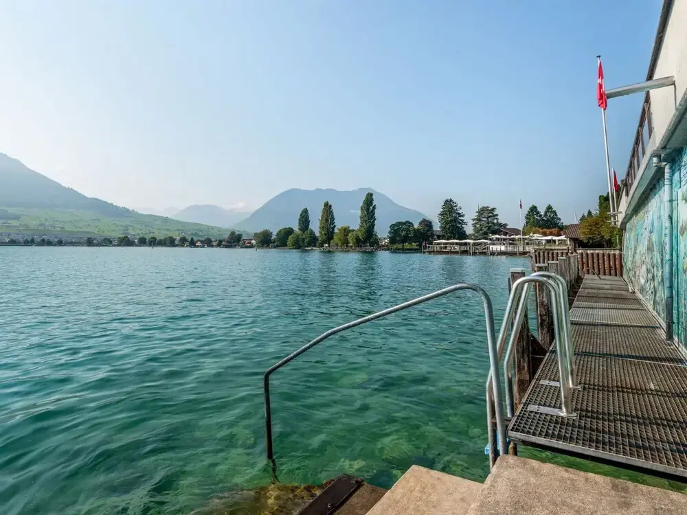 Seestern am See mit Motorboot Ennetb Rgen