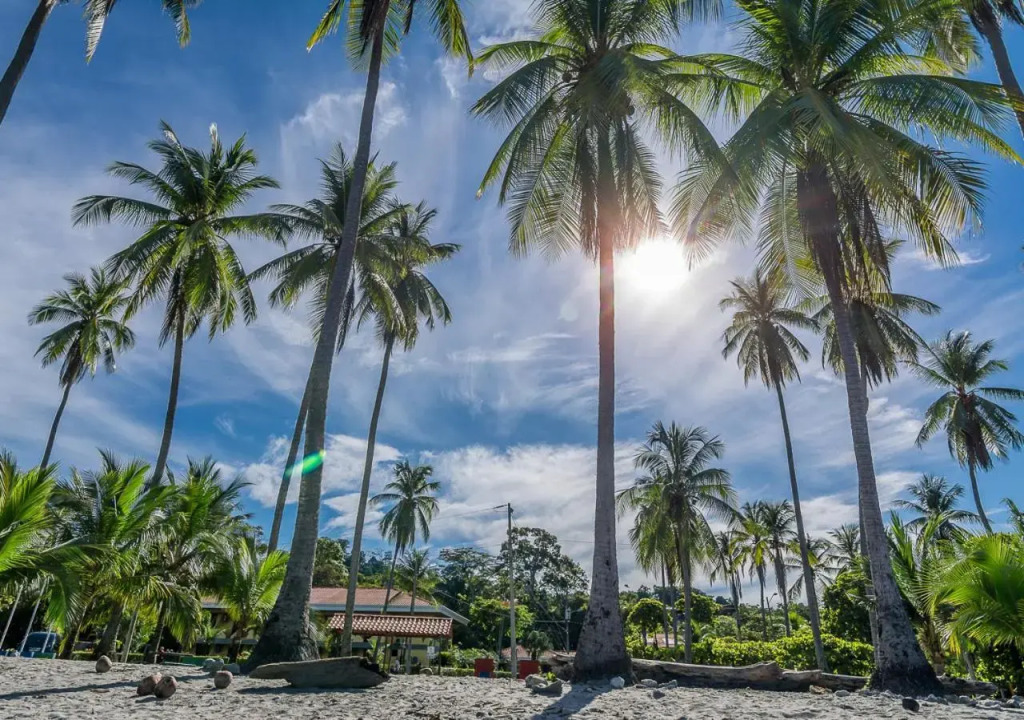 Hotel Manuel Antonio