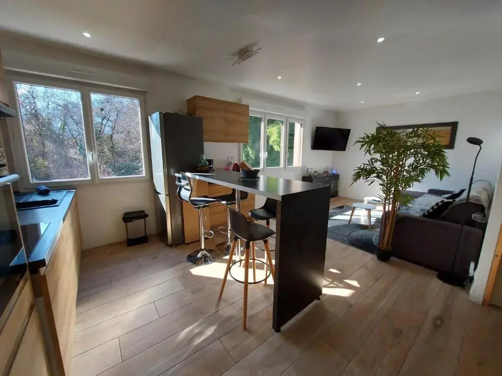 Superbe appartement au centre de St Jorioz