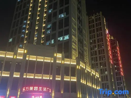 This Shi Hotel (Zhoukou Municipal Government Arts and Science College)
