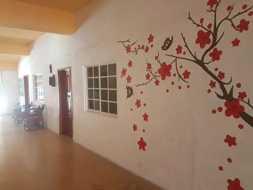 Cedro Tulum