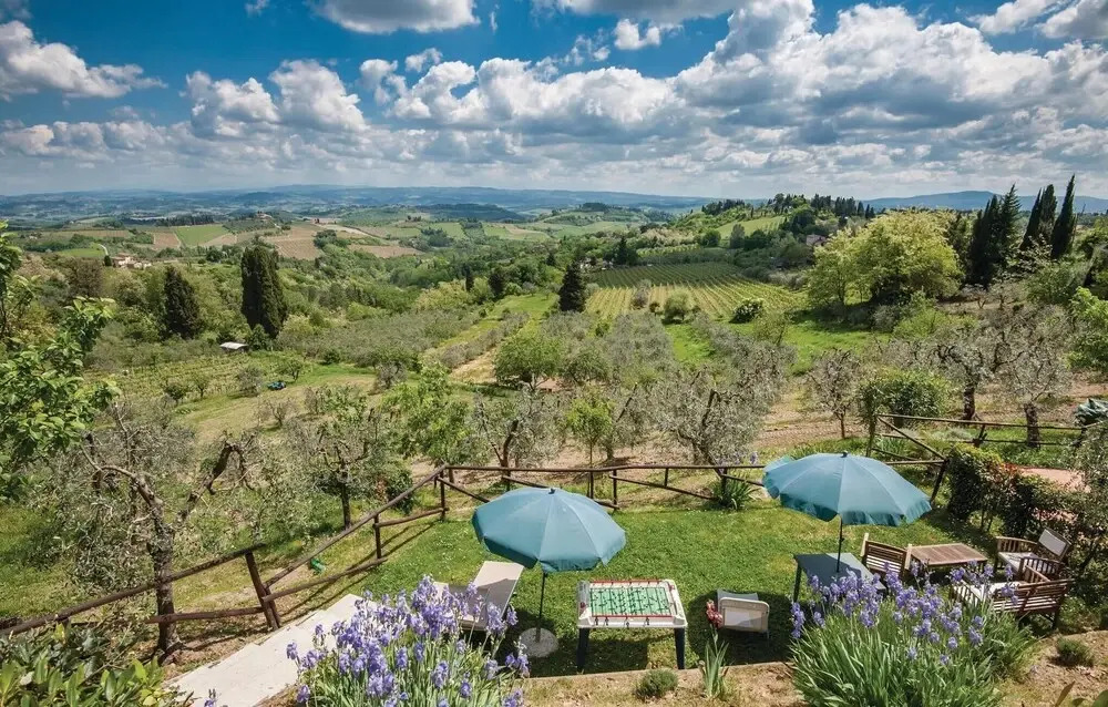 Zafferano 1