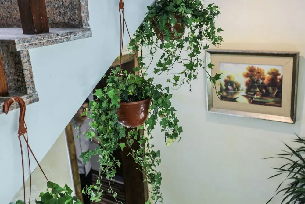 Jiaxing Pu Art Inn