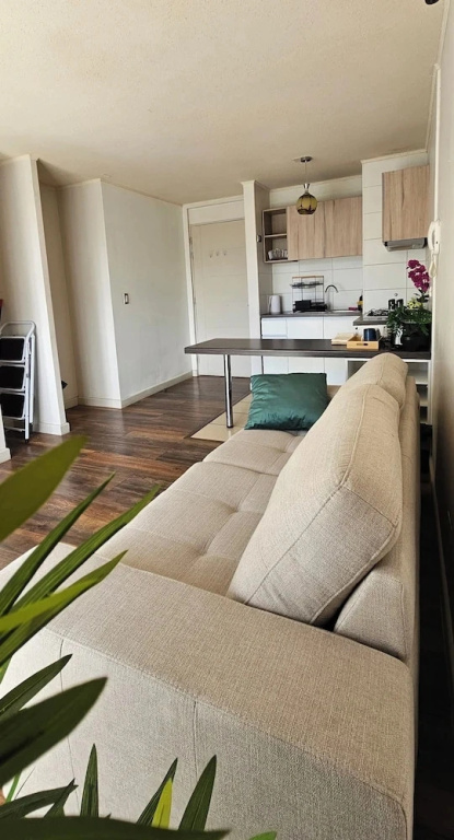 Departamento suite Valdivia