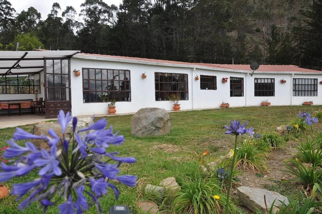 Pinares del Carrizalito