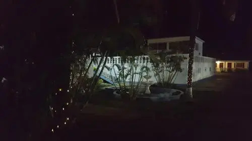 Palm Tree Guest House