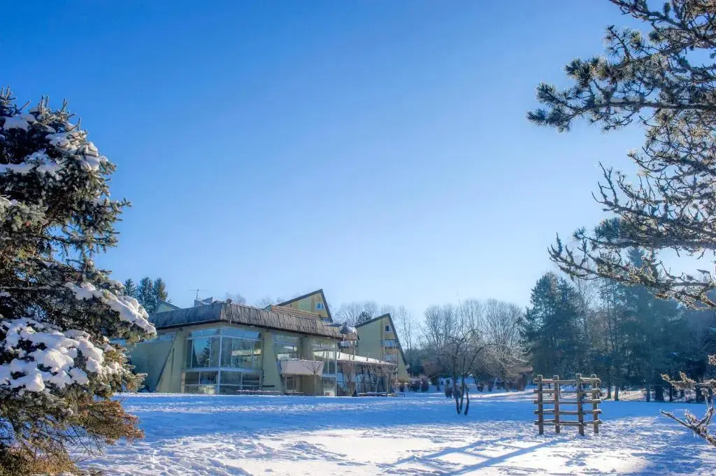 VTF Le Domaine des Puys