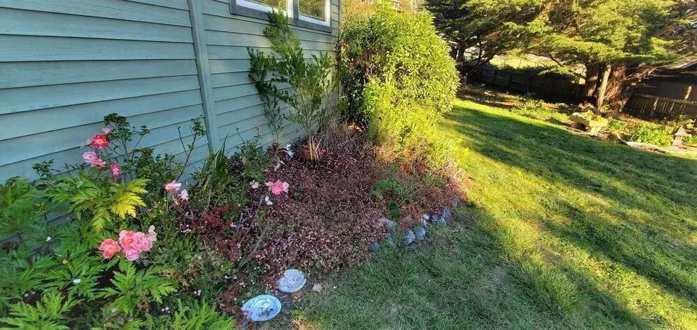 Seaside Garden Retreat 2 Bedroom Home by Redawning