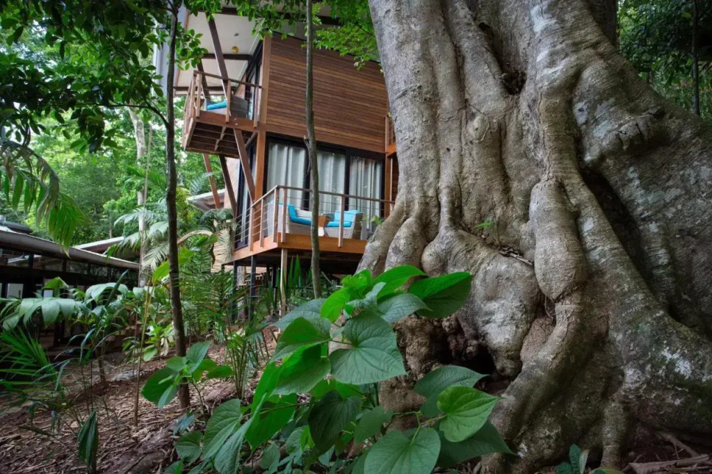 The Resort at Isla Palenque Member of the Cayuga Collection