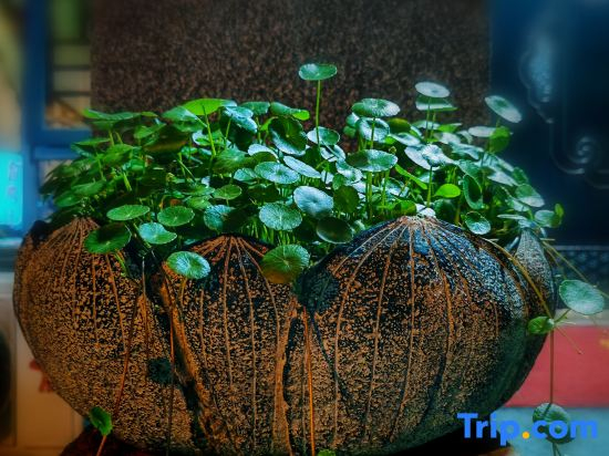 Shengtangli Homestay