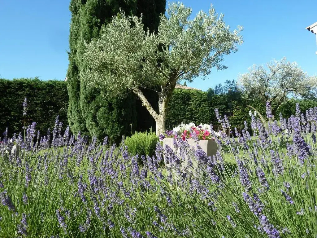 Gîte de l'Olivier