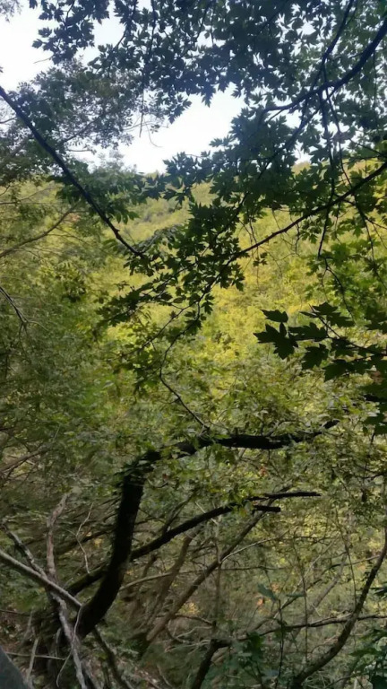 Kirkahvesi Garden - Campsite