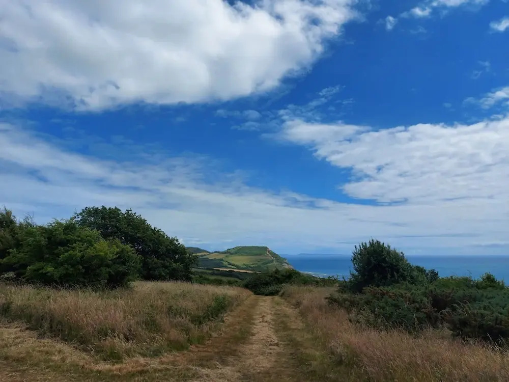 The Linhay