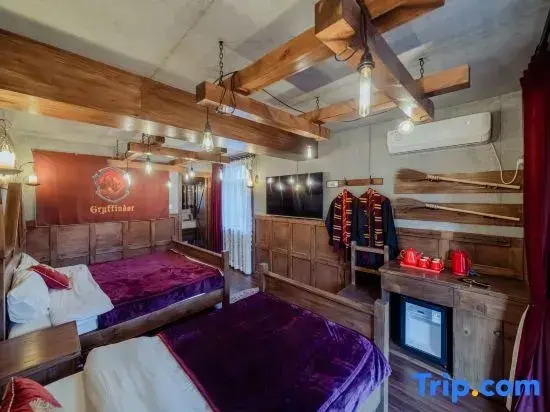 The Magic House of the Fugitive Wizard