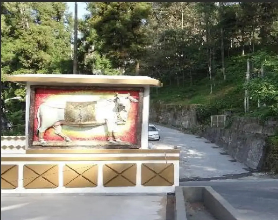 Sterling Gangtok Orange Village