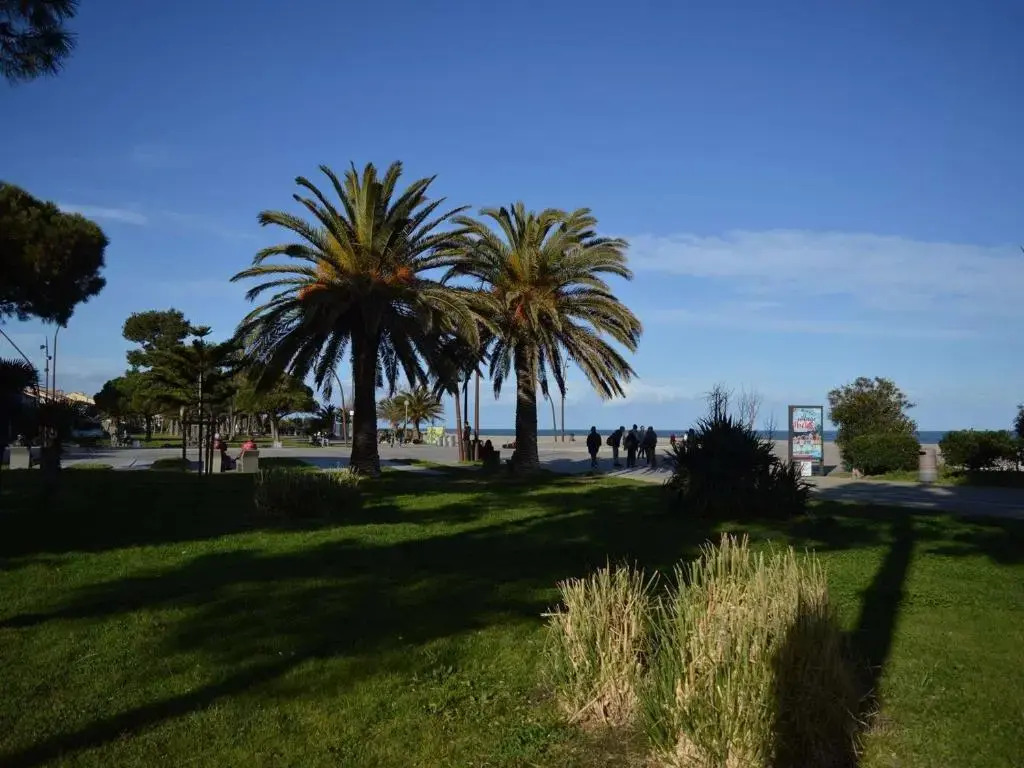 Appartement Argelès-sur-Mer, 2 pièces, 4 personnes - FR-1-225-696