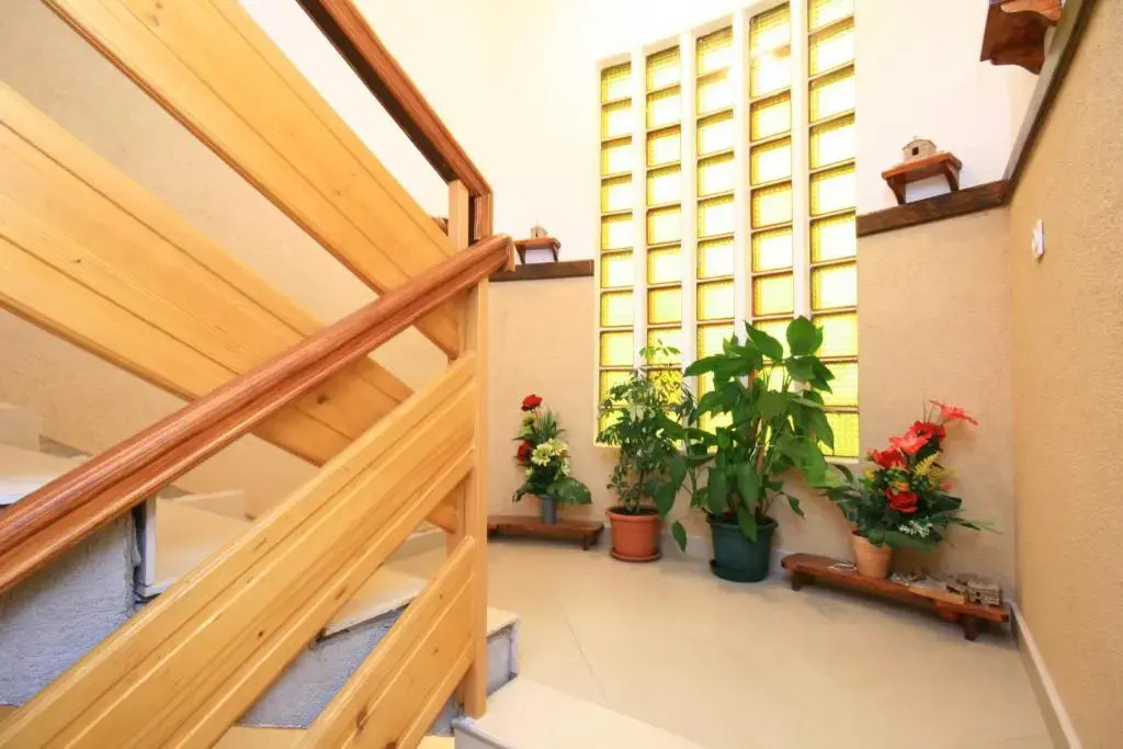 Apartment Petra