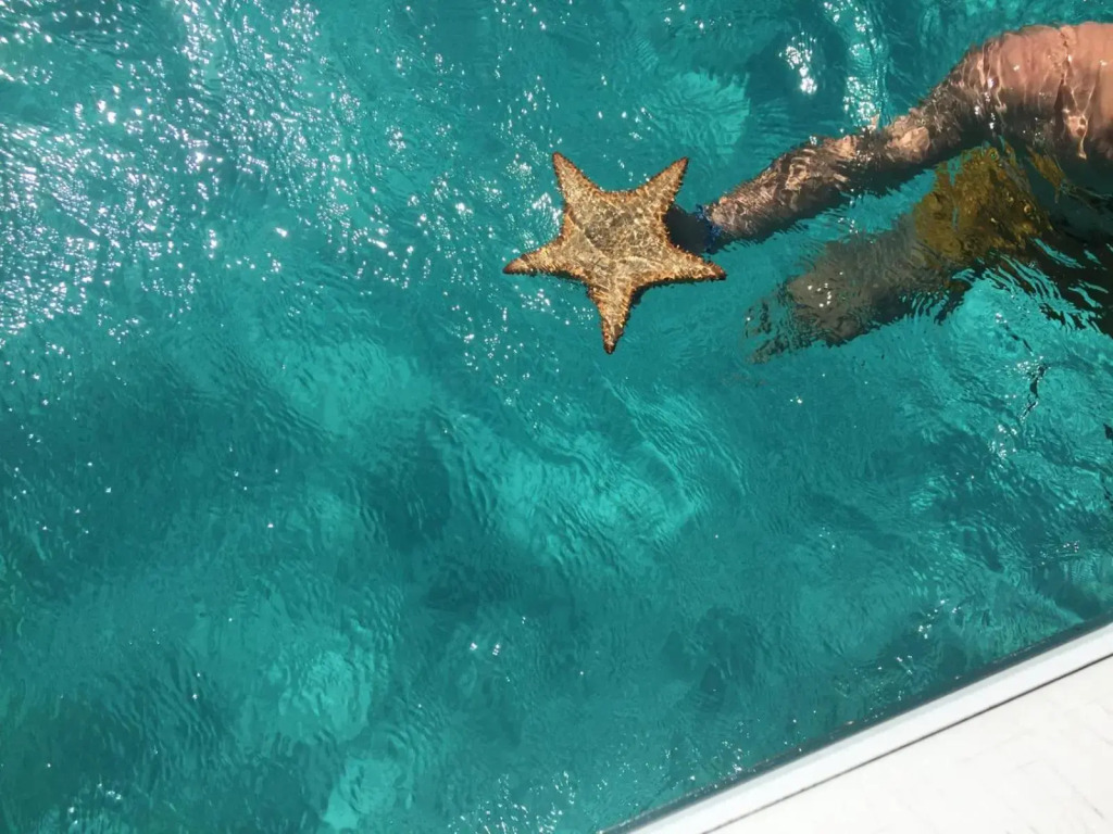 ZANNANNA F1 de charme tout équipé Le Moule avec piscine