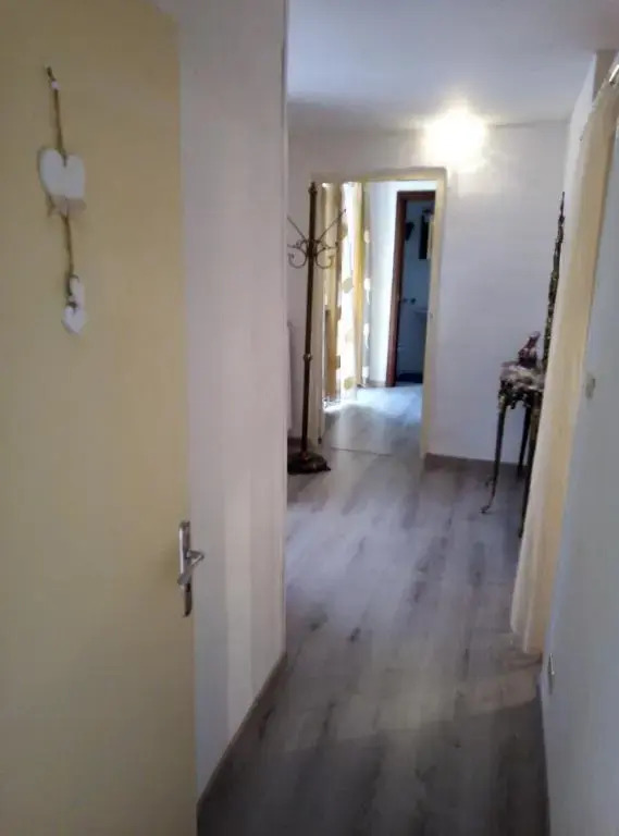 LArmonica di Nonno Sandro