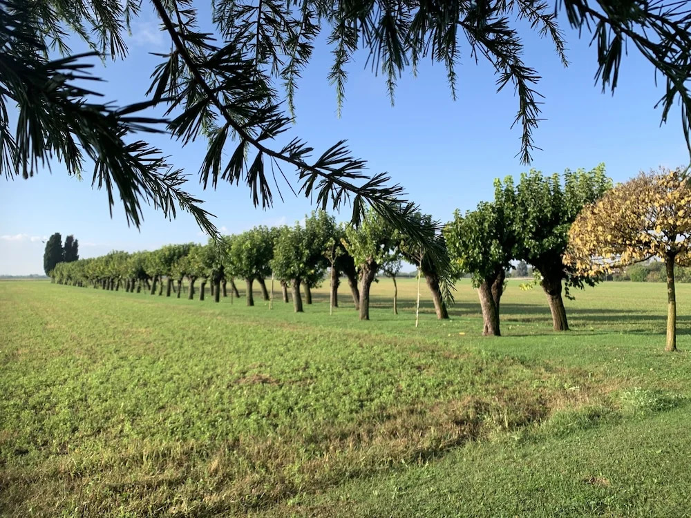 Villa Minini B&B