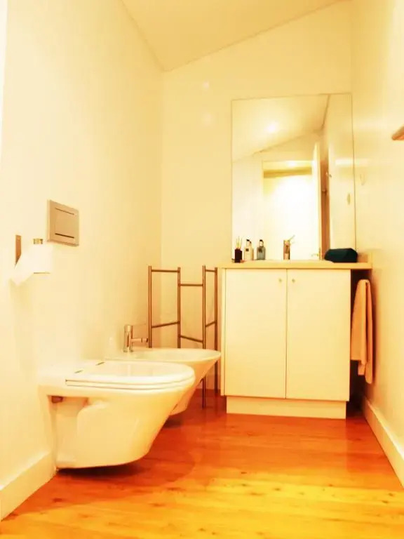 Fabulous Baixa-Chiado Penthouse