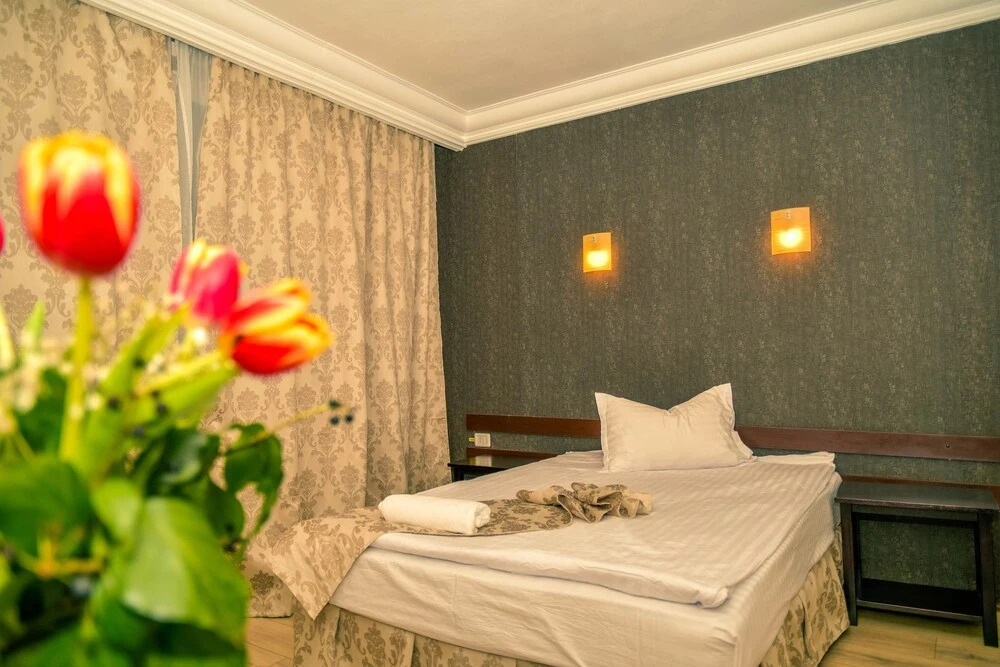 Hotel Elisabeta
