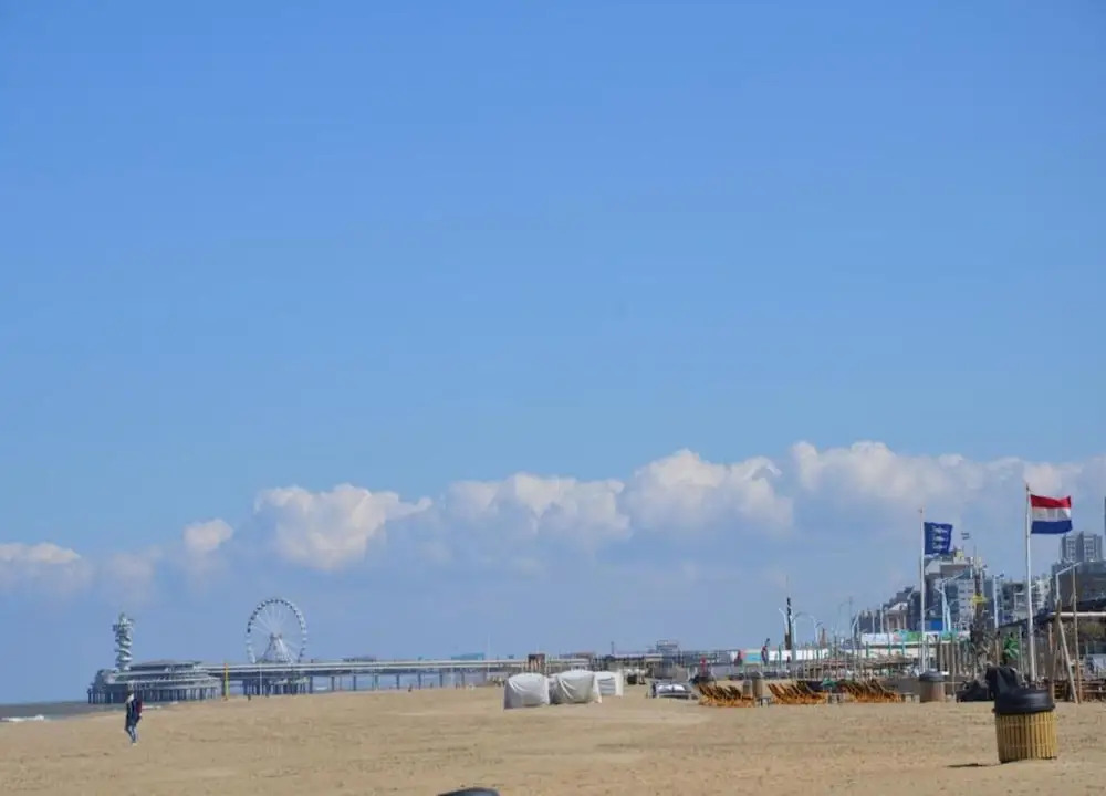 Harbor Breeze: Modern Stay