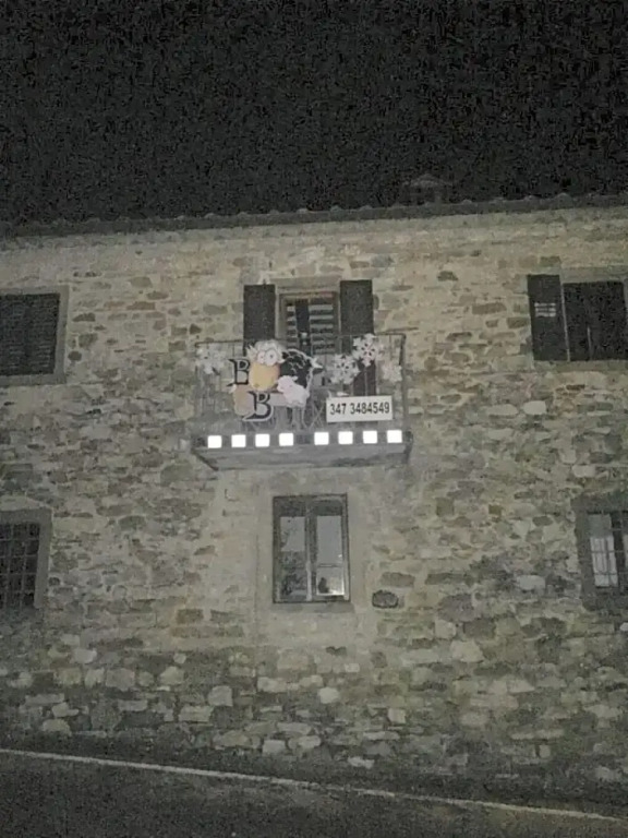 La pecora e l agnello