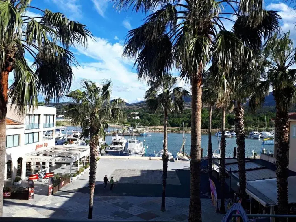Appartement Argelès-sur-Mer, 2 pièces, 4 personnes - FR-1-309-247