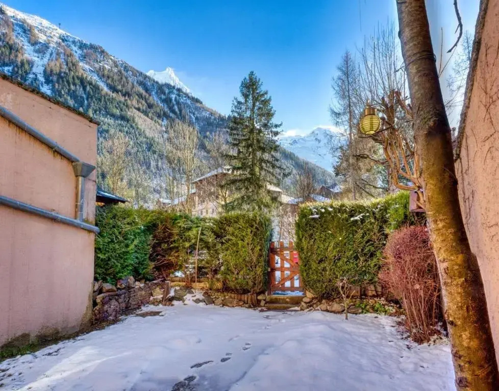 181 Terrasse Mont-Blanc - 1 Chambre