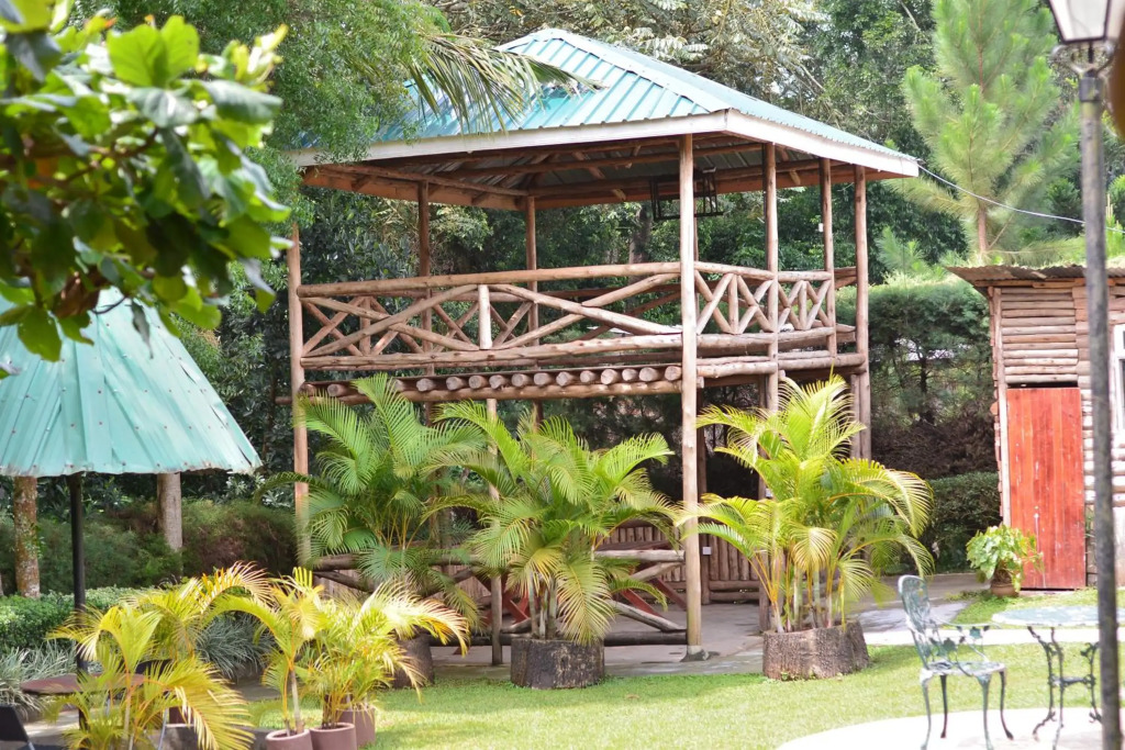St. Patrick’s Forest House