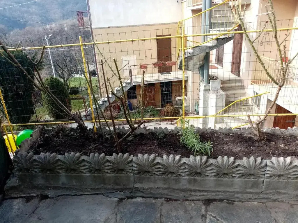 B&B LA MARMOTTA