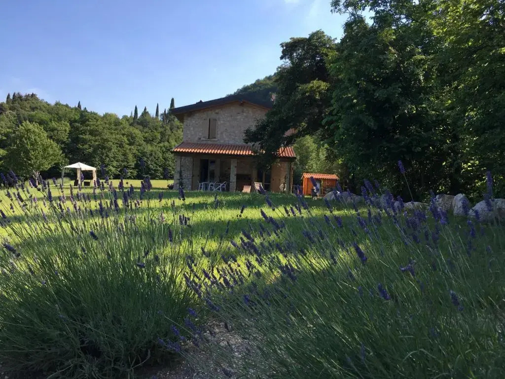 Agriturismo Casa del Castagneto