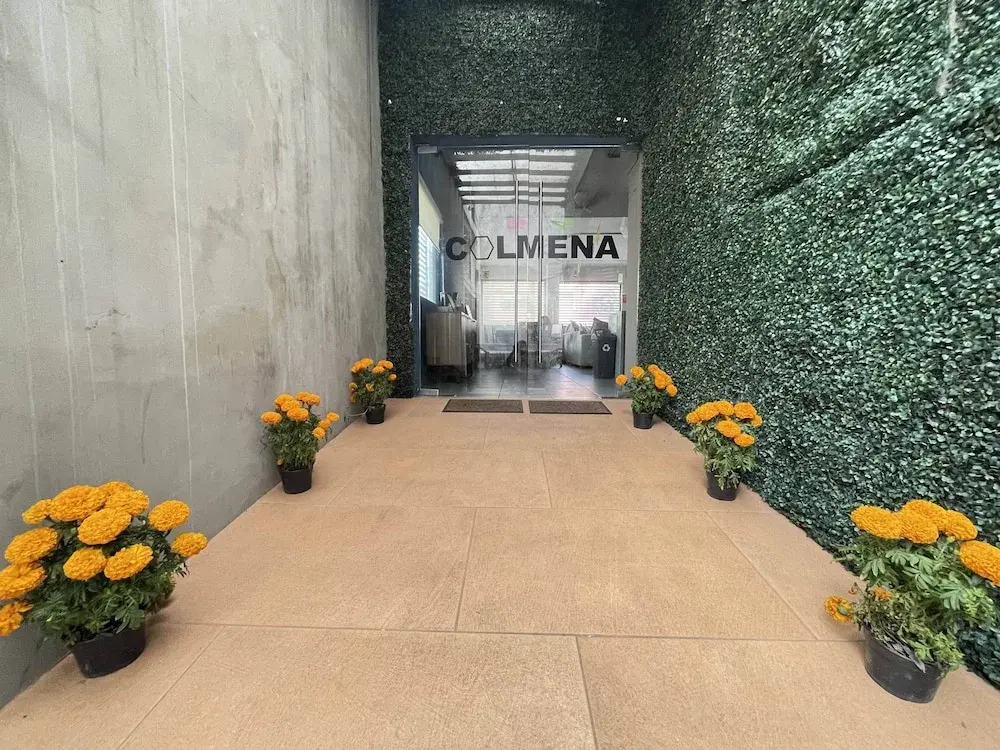 Colmena Hotel CDMX Tonala