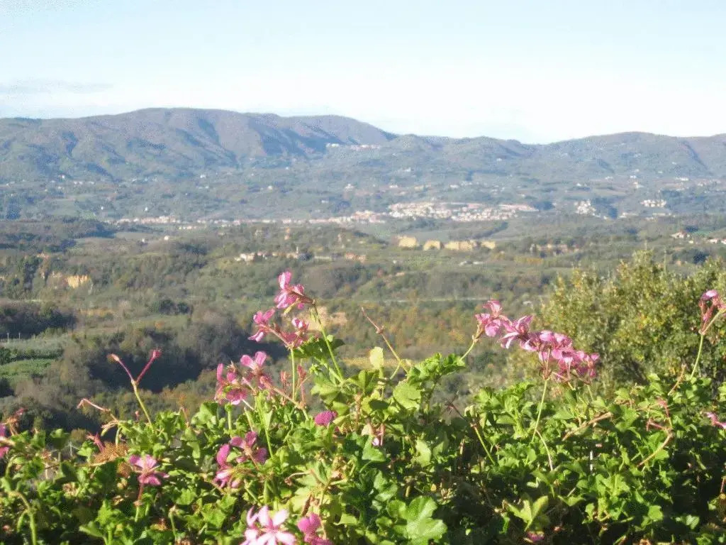 Agriturismo La Capitata