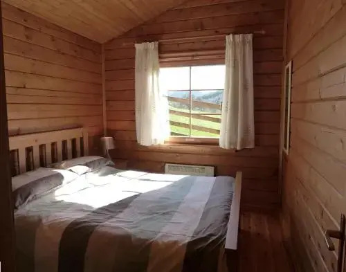Holiday Home Caban Coed y Betws