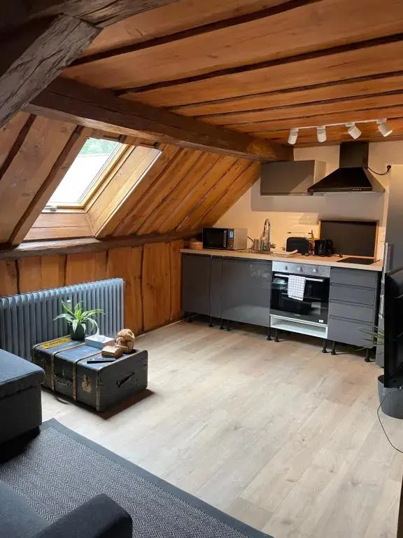 Appartement 3 pieces centre du Hohwald # 201