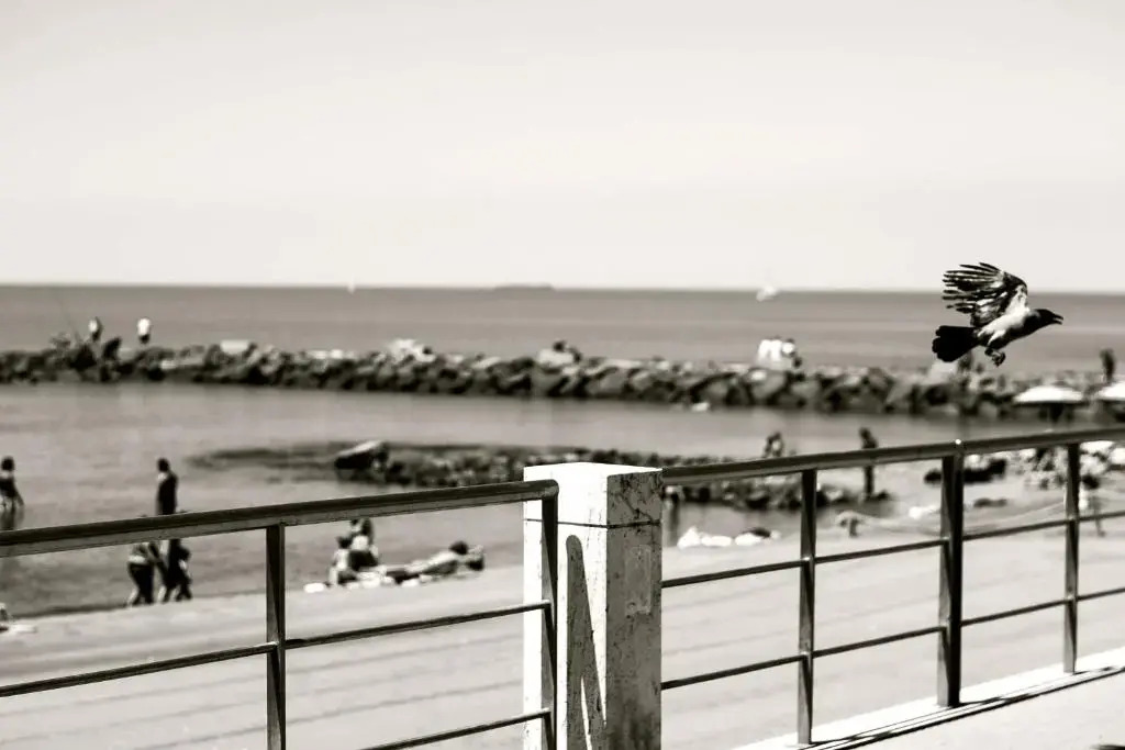 Open Space On The Sea Of Rome !:)