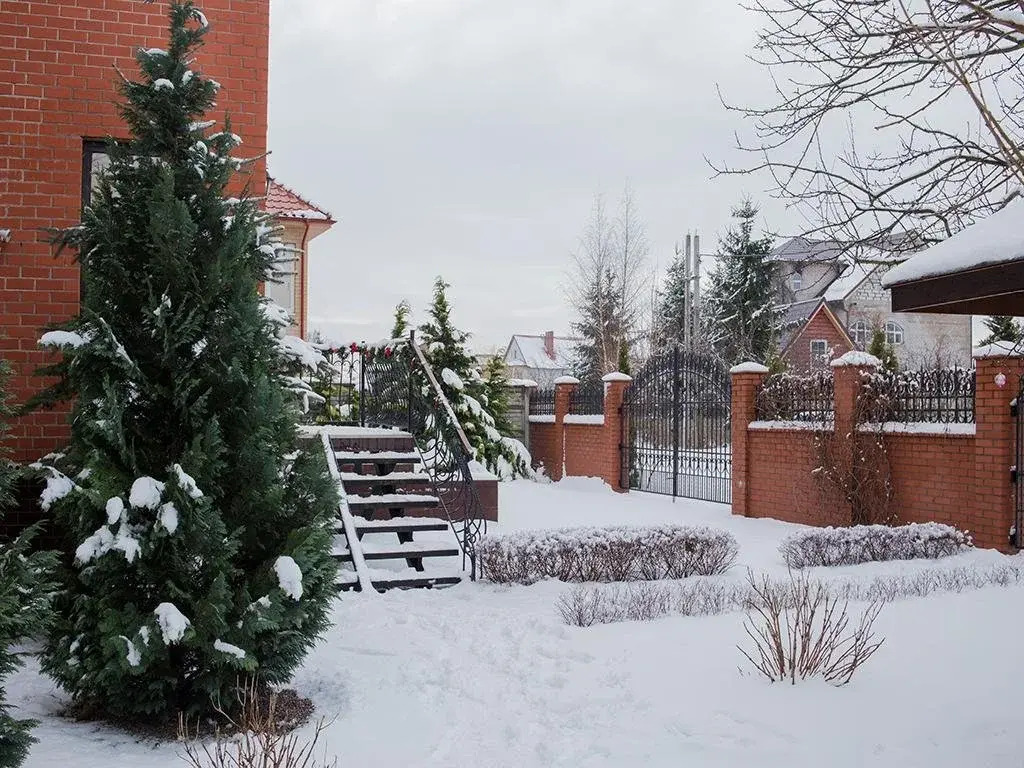 Guest House Aleks