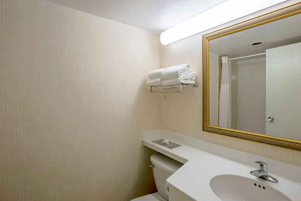 Comfort Inn Walcott near Davenport