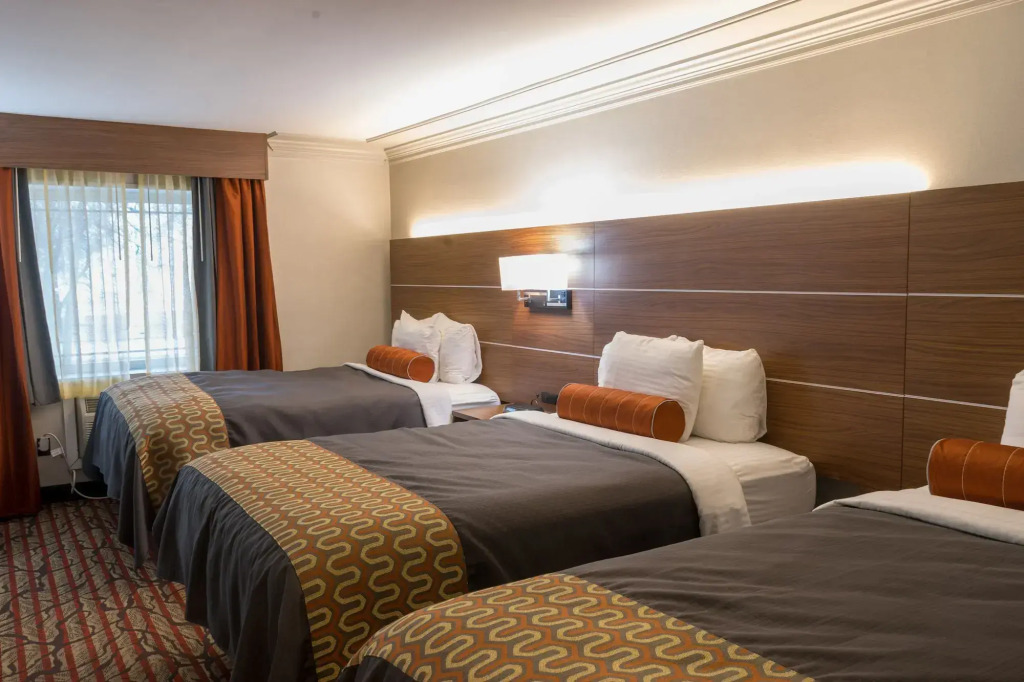 Kalika Hotel