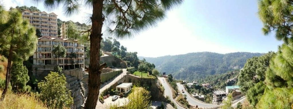 2BHK Furnished Apartment/Near Kasauli/Barog/Luv Fun & Adventure