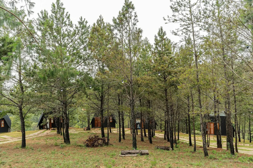 Chales Naturale - Campos do Jordão - CNA