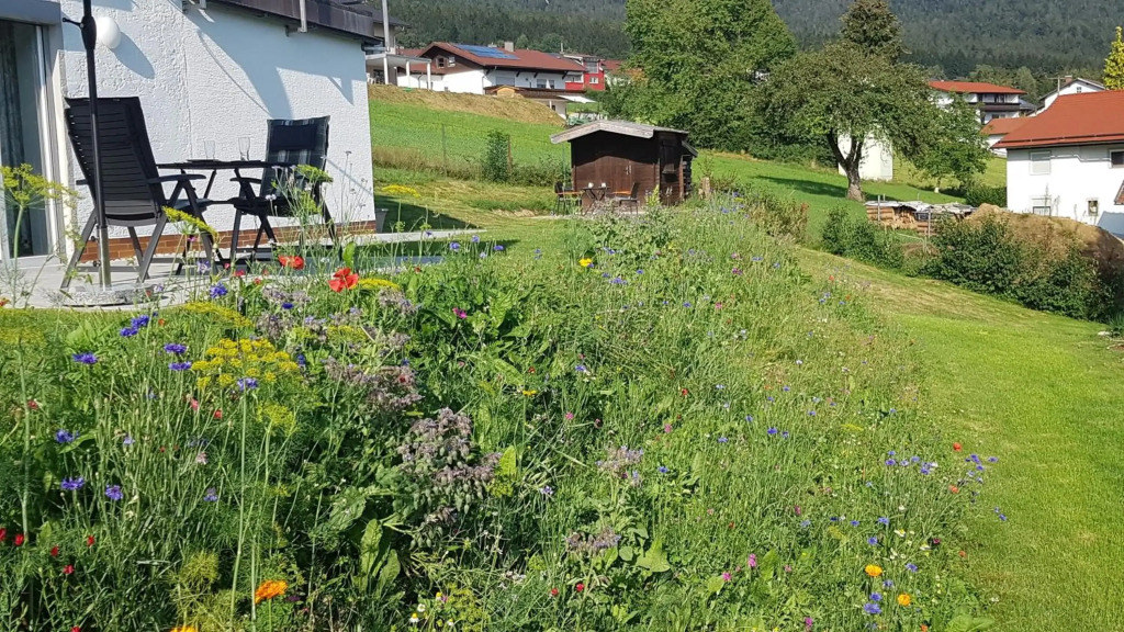 Wohnung Wiesengrün - Osserblick