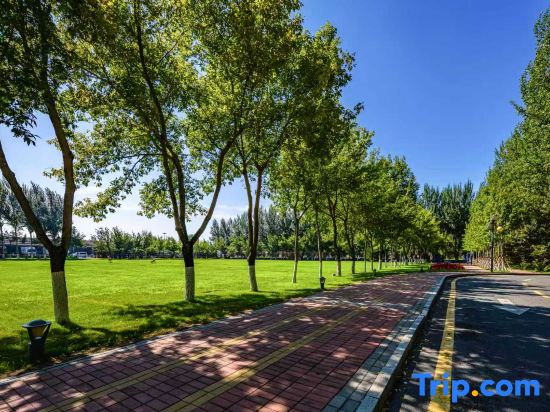 Meishang Homestay (Harbin Taiping International Airport Terminal 2 Branch)