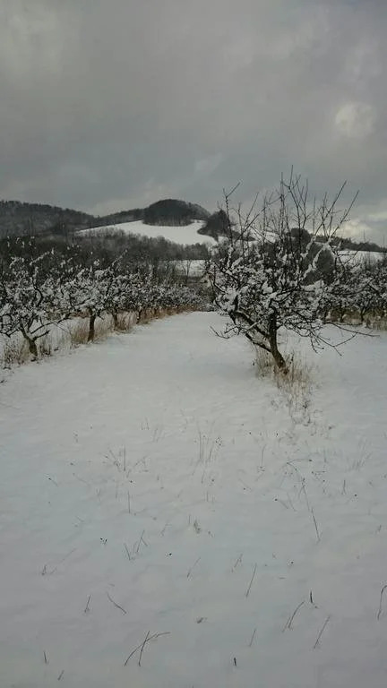 Agropenzion Lhotka